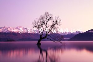 一条网线多开店铺降权吗-淘宝问答电商问答