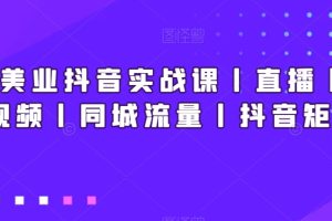 新美业抖音实战教程丨直播丨短视频丨同城流量丨抖音矩阵