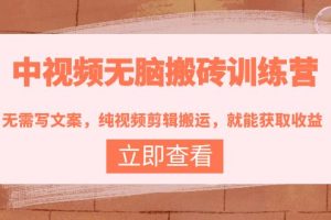 中视频无脑搬砖训练营：无需写文案，纯视频剪辑搬运，就能获取收益！