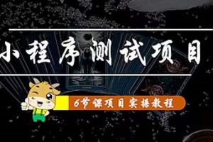 小程序测试项目（从星图 搞笑 网易云 实拍 单品爆破 抖音抖推猫小程序变现）