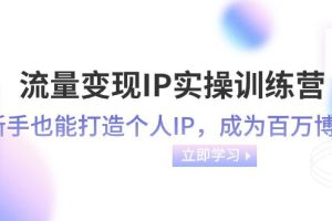 流量变现训练营-IP实操课程：新手也能打造个人IP，速成百万博主（46节课）