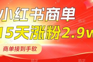 小红书商单最新玩法，新号15天2.9w粉，商单接到手软，1分钟一篇笔记